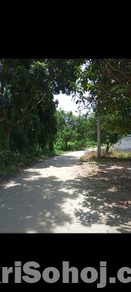 জায়গা সহ বাড়ী বিক্রি